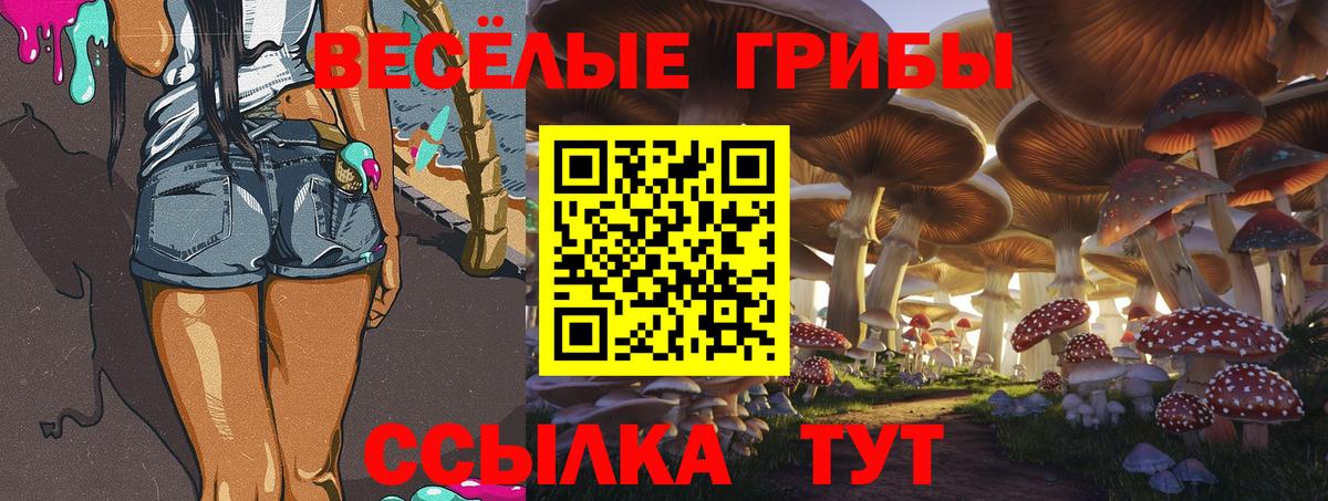 Псилоцибиновые грибы MAGIC MUSHROOMS Кисловодск