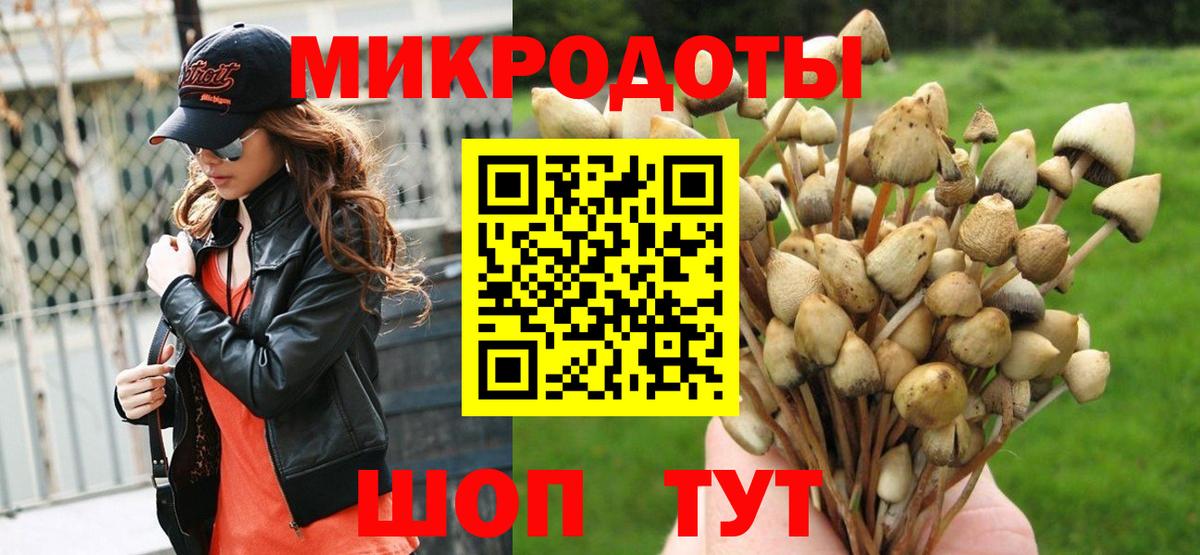 Галлюциногенные грибы ЛСД  Псилоцибиновые грибы мицелий  Кисловодск  Вход с VPN 